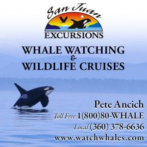 San Juan Excursions